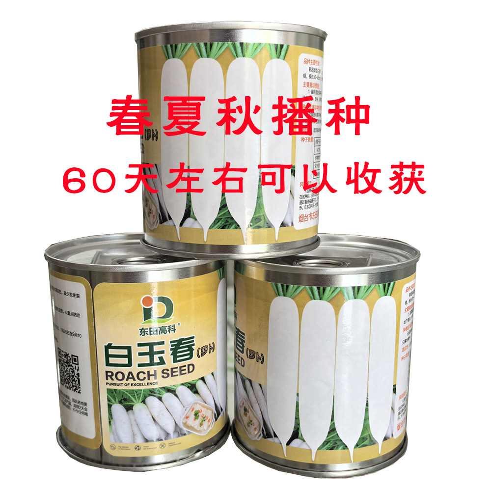 白玉春萝卜种子高产抗病耐热耐寒农家菜园家庭种植蔬菜萝卜种子籽