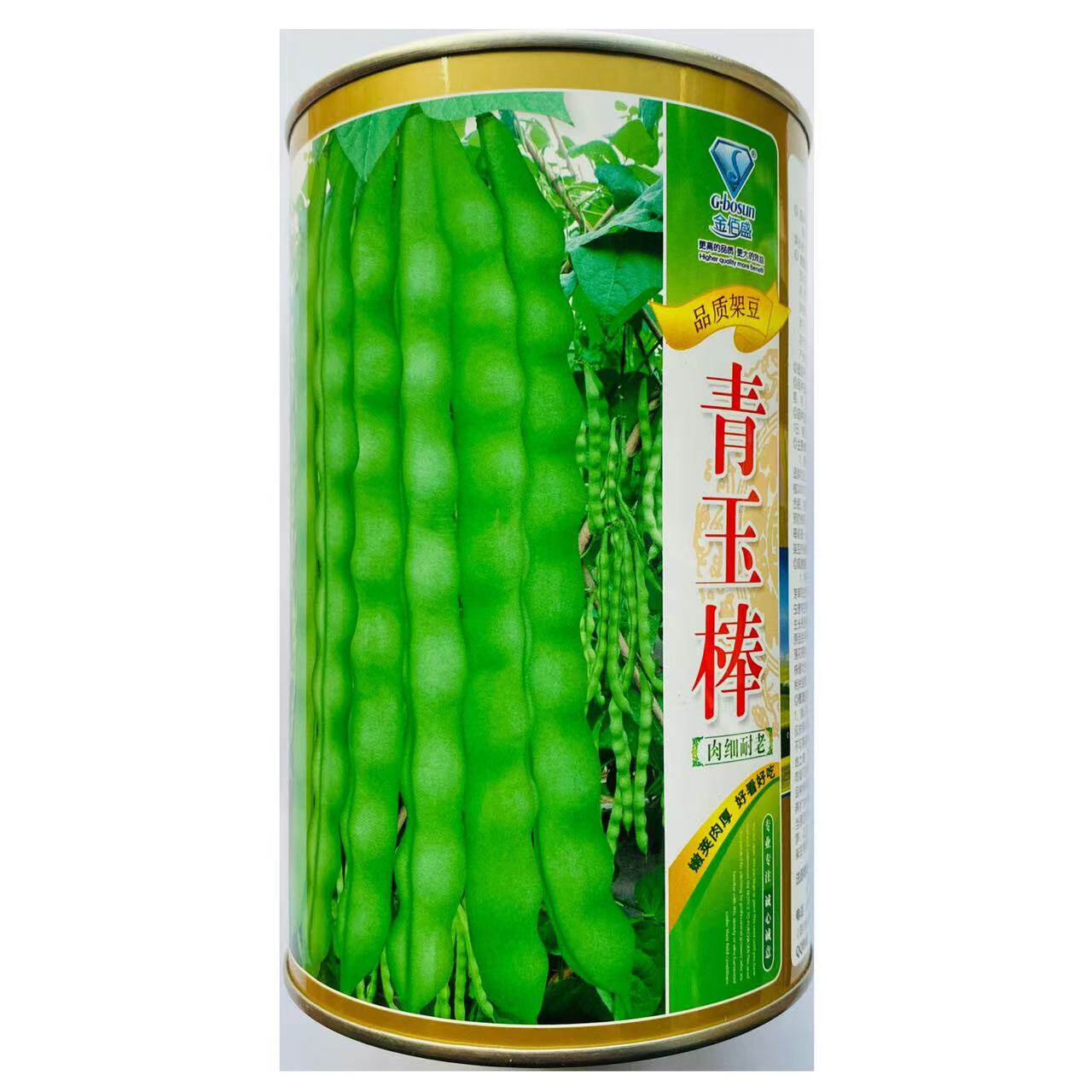 青玉棒早熟春秋两用架豆品种 采收期长豆荚翠绿 口感好农家梅豆