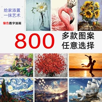 缘色 DIY Цифровой масляной живопись цветочный ландшафт взрослый