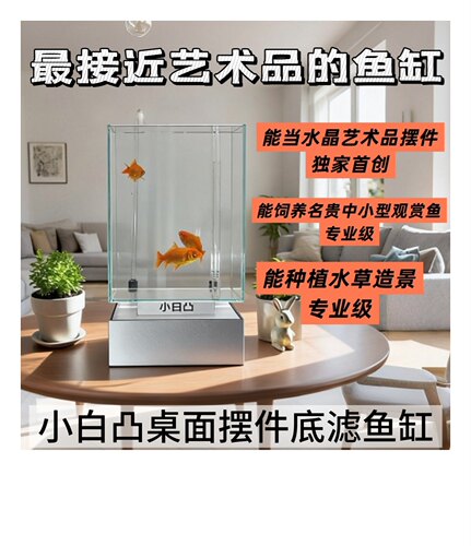 小白凸桌面摆件底滤鱼缸 20方缸 迷你造景鱼缸 水艺摆件 懒人鱼缸