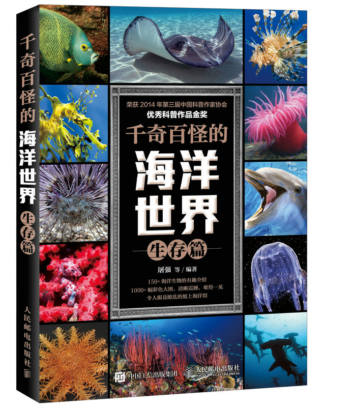 珊瑚礁保护——一场关乎海洋生态的生命之战
