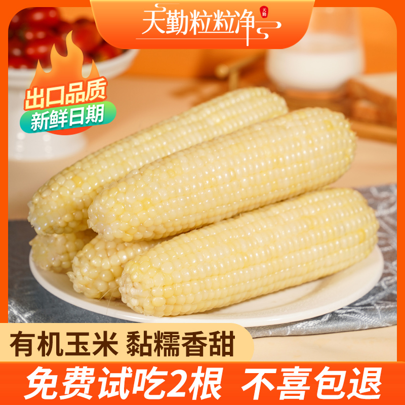 10大根天勤粒粒净有机甜糯玉米
