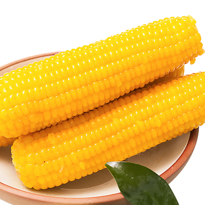 官方直播】天勤粒粒净新鲜现摘非东北肥减黄餐黏真空装白粘糯玉米