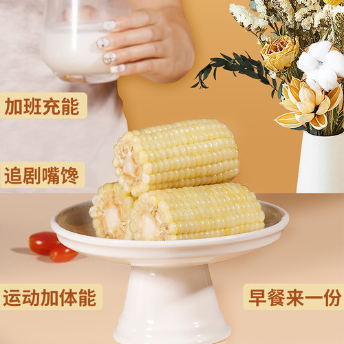 16根新鲜现摘有机白甜糯玉米段