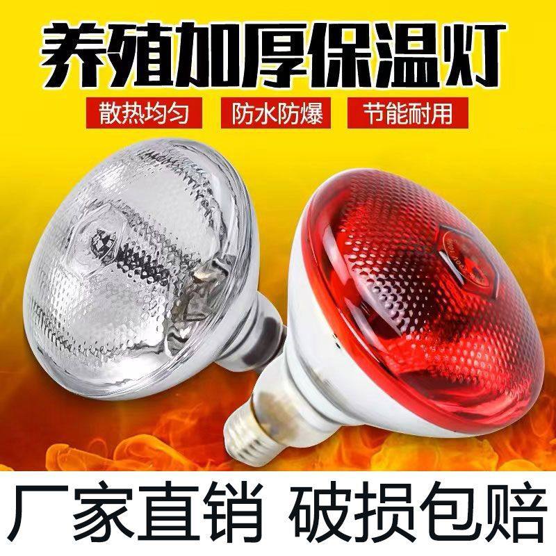 保温灯养殖场专用小猪用保暖灯小鸡育雏保温灯加热取暖灯泡烤灯