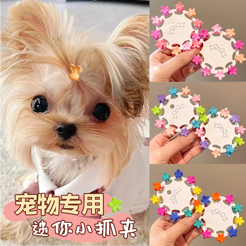 狗狗发夹头饰不掉bb夹