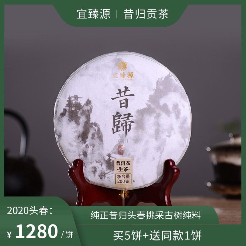 昔归贡茶挑采茶王级古树纯料春茶临沧茶区云南普洱茶生茶饼茶200g
