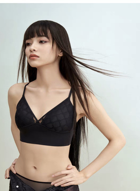 芬狄诗商场同款内衣女美背无钢圈轻薄三角杯蕾丝网纱文胸FB00475