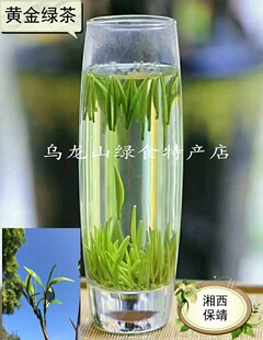湖南特产湘西特产茶农自销一两黄金一两茶保靖黄绿茶 特级
