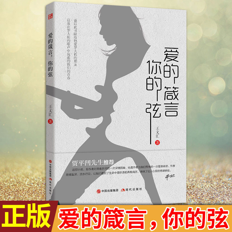 现货正版 爱的箴言,你的弦 王文汇著 不敢想象,这一生如果没有罗大佑
