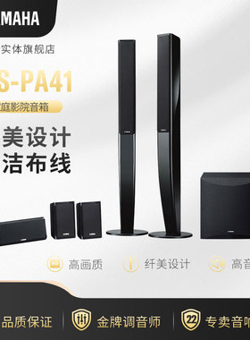 进口Yamaha/雅马哈 NS-PA41家庭影院音响5.1音箱套装家用客厅音柱