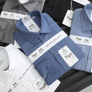 重头戏 绵羊毛莫代尔 温莎一字领 男士商务纯色长袖衬衫保暖衬衣