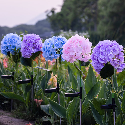 太阳能草坪灯绣球花地插灯
