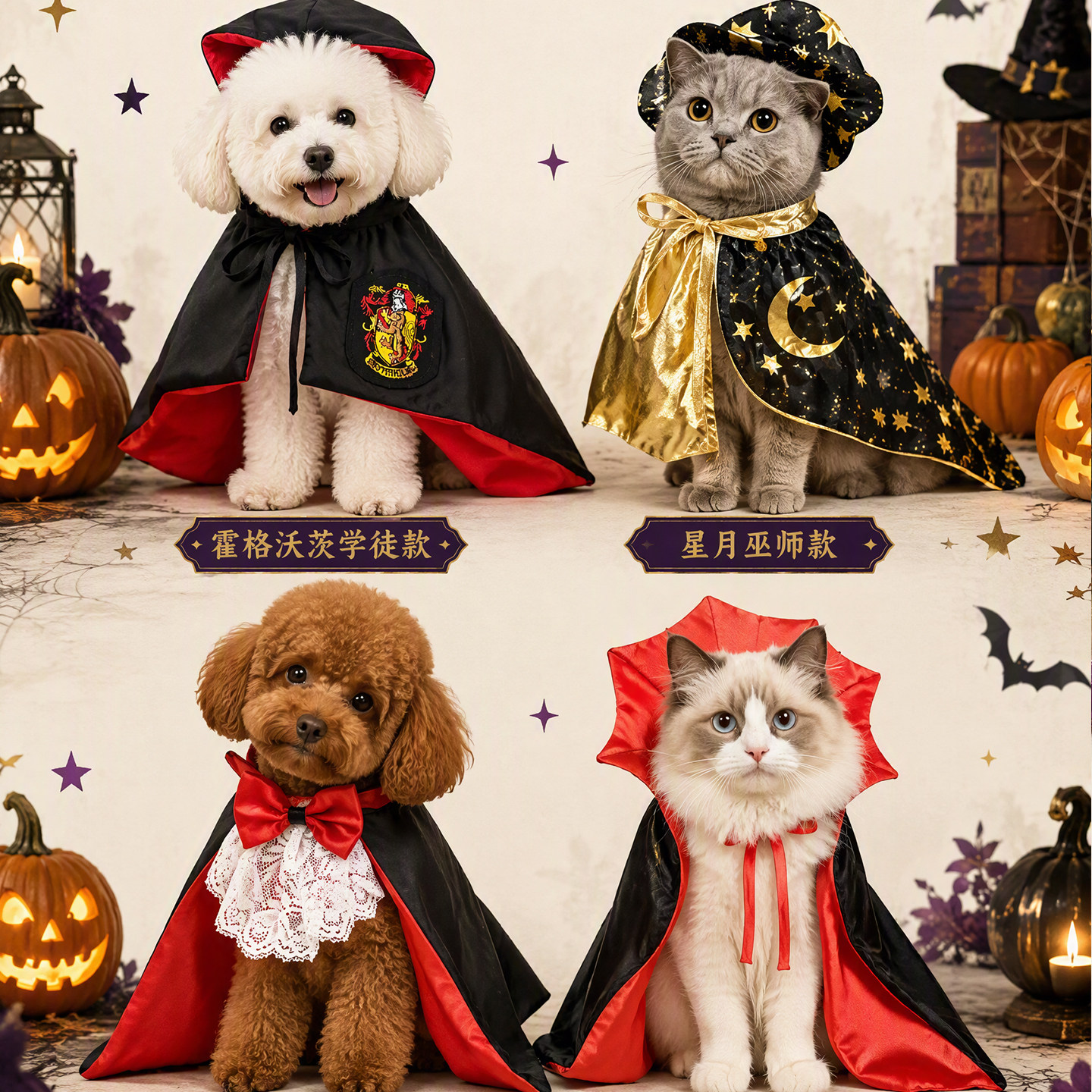 万圣节服装宠物魔法披风套装衣服狗狗装扮小猫咪搞怪搞笑服饰套装