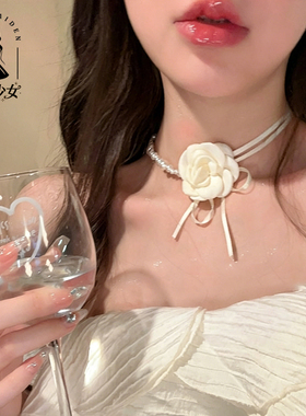 花朵珍珠项链女choker锁骨链