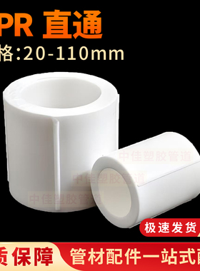 PPR热熔配件直通20 4分25直通接头水暖管件自来水管配件白色ppr50