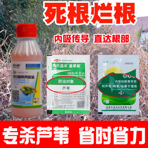百士威芦苇烂根除草剂