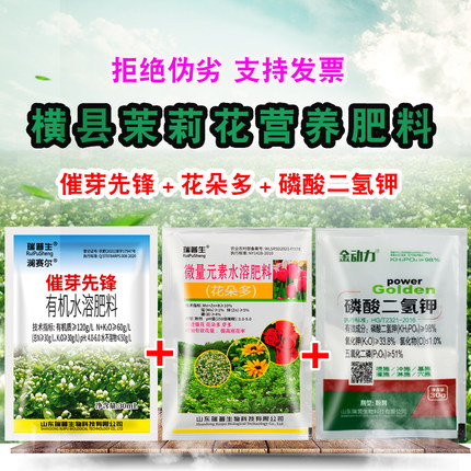 广西茉莉花基地专用叶面肥催芽催花磷酸二氢钾芽多花白花大花蕾多