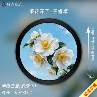 茶花开了-王睿卓 原版伴奏音乐MP3歌曲MV背景视频MP4素材LED大屏
