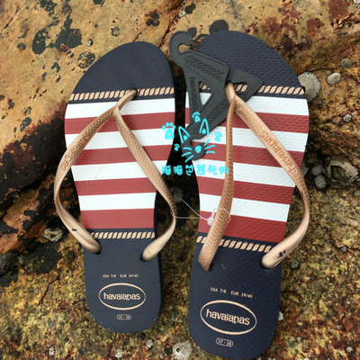 防滑人字拖鞋Havaianas人字拖鞋