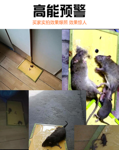 超强力金牛粘鼠板大老鼠胶捕鼠笼灭鼠器耗子灭鼠神器 8张包邮
