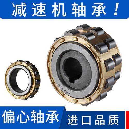 进口品质偏心轴承套 加厚双列减速机用RN309M 山东产滚动轴承钢配