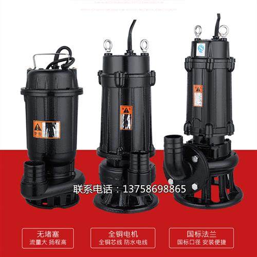 人民家用污水泵单相排污泵小型潜水泵工程抽化粪池抽水机220V380V