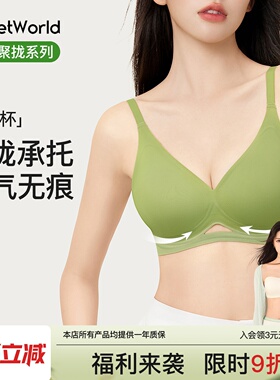secretworld内衣女小胸聚拢无痕夏薄款无钢圈文胸罩软支撑防下垂