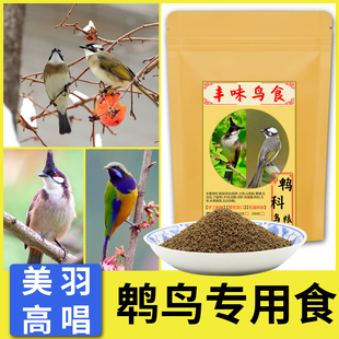 红耳鹎白头翁黑头公红屁股饲料鸟食高冠白头鹎黄臀鹎橙腹叶鹎鸟粮