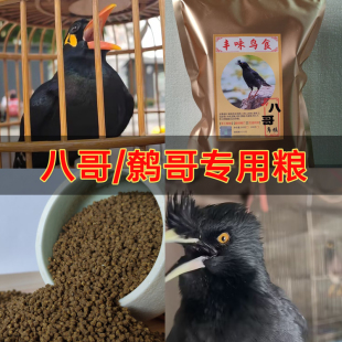 八哥鹩哥专用饲料灰喜鹊白头翁黑八林八海八红嘴山鸦颗粒高钙鸟食