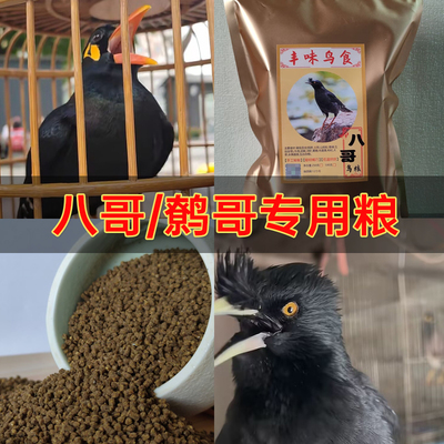 聪明伶俐~八哥鹩哥专用鸟食