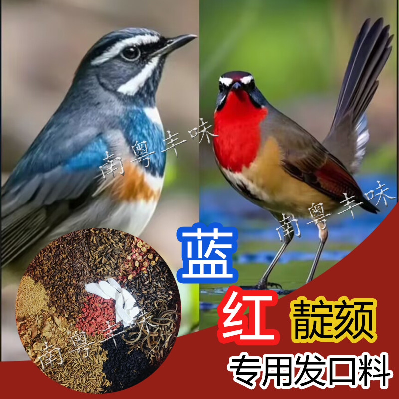红靛颏专用饲料提性大唱点颏蓝灯蓝脖红灯红脖鸟食蓝靛颏鸟粮颗粒