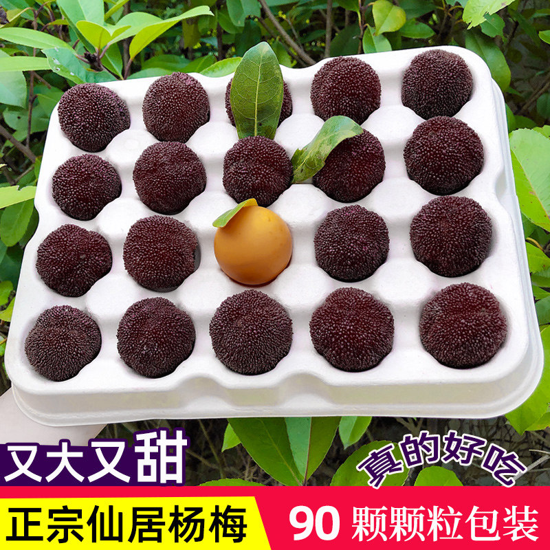 比乒乓略小9A正宗仙居东魁大杨梅孕妇水果新鲜当季现摘现发整箱在类目 水产肉类/新鲜蔬果/熟食, 新鲜水果, 杨梅中 - 来自Buy2taobao.com提供专业的淘宝代购服务