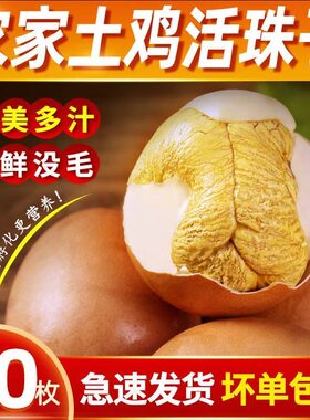 新鲜13天活珠子独立包装开袋即食