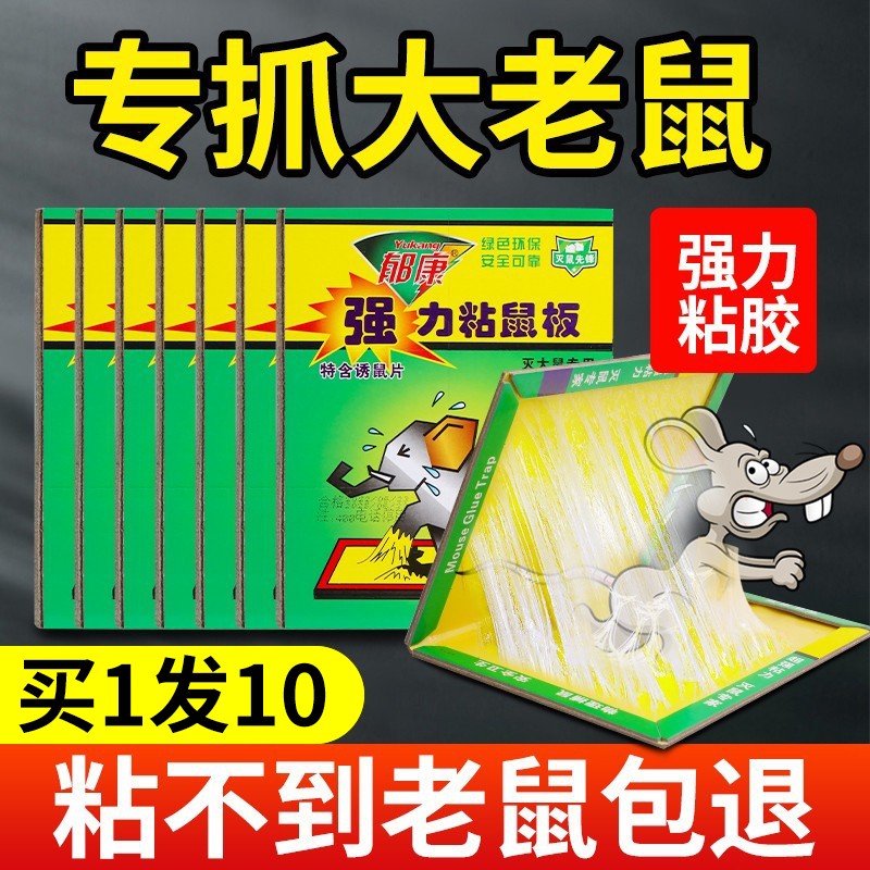 【支持试用！】老鼠贴强力粘鼠板