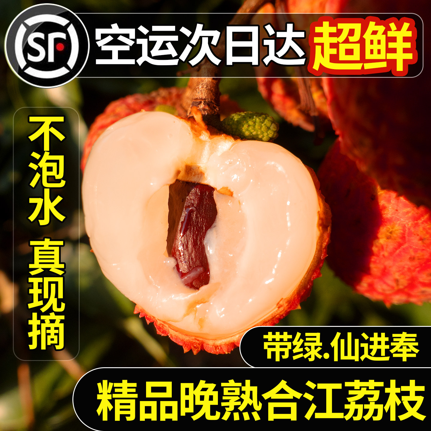 正宗合江带绿荔枝现摘现发多品种