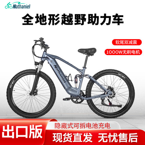 Nathaniel双电池超长续航代步车