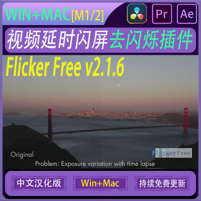 视频去闪屏闪烁AE/PR插件 Flicker Free 2.1.6 OFX/达芬奇插件