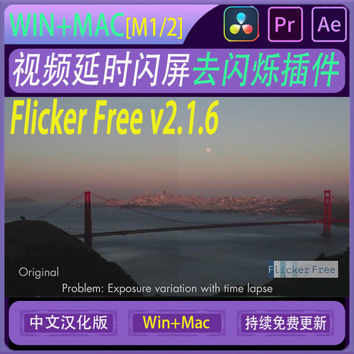 视频去闪屏闪烁AE/PR插件 Flicker Free 2.1.6 OFX/达芬奇插件