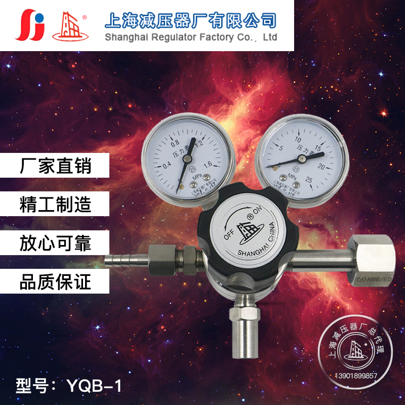 耐腐蚀气体二氧化硫减压器
