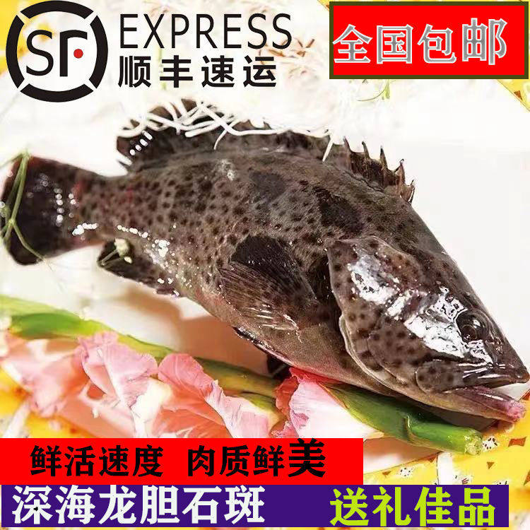 顺丰海鲜水产海鱼海捕野生石斑鱼肉质鲜美营养美味鲜活速冻包邮,水产肉类/新鲜蔬果/熟食,淡水鱼类,淘宝优惠券,粉丝福利购,淘宝优惠卷