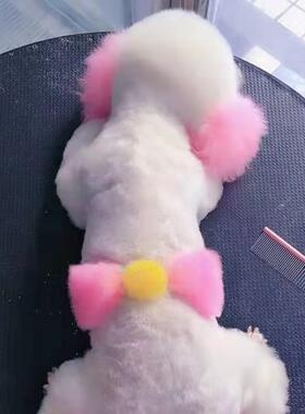 宠物染毛剂动s物染毛专用狗狗染发剂粉红色橙色染色剂白色猫咪樱