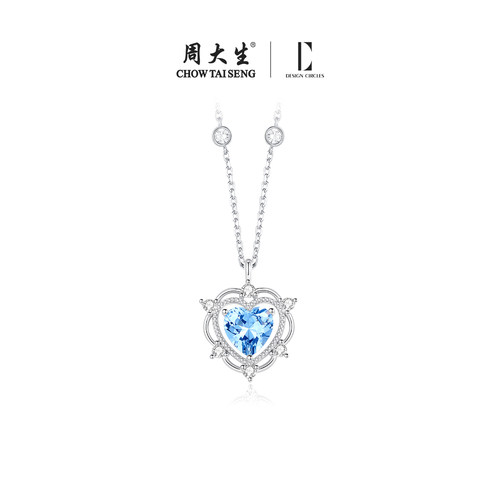 设界925银锁骨链女轻奢高级项链