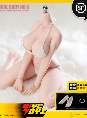 【TYCTOYS】定金预售VERYCOOL丰满窄肩蜂腰连脚体型6号素体VCD-06