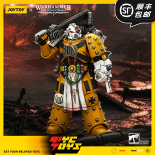 【TYCTOYS】现货 JOYTOY暗源帝国之拳军团药剂师1/18 JT02472可动