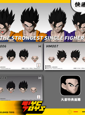 【TYCTOYS】现货 HM神悟饭瓢发黑悟饭可动人偶头雕配件包HM006