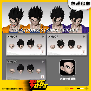 【TYCTOYS】现货 HM神悟饭瓢发黑悟饭可动人偶头雕配件包HM006