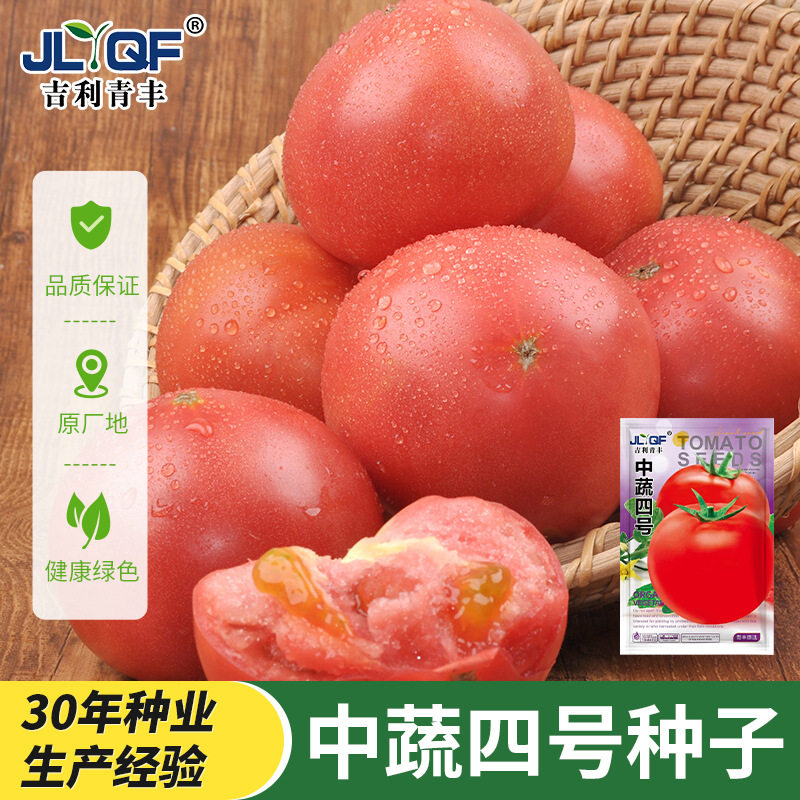 中蔬四号蔬菜种子果粉大番茄阳台盆栽果蔬庭院种植菜籽西红柿种子,农用物资,蔬菜种子/种苗,淘宝优惠券,粉丝福利购,淘宝优惠卷