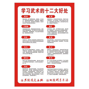 武术海报贴纸武馆培训教室装饰布置贴画功夫武道馆自粘墙贴跆拳道