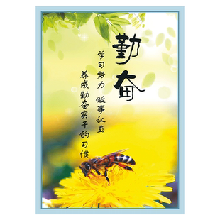 中小走廊学校园学生教室布置文化贴画励志标语名人名言文化墙